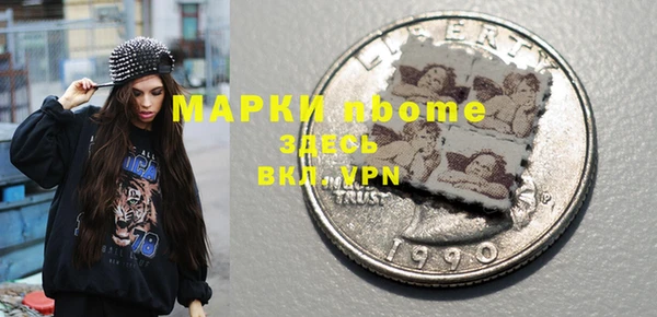 крисы Мегион