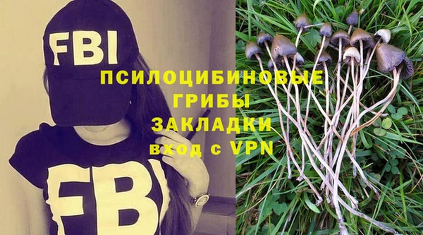 ALPHA PVP Алексеевка